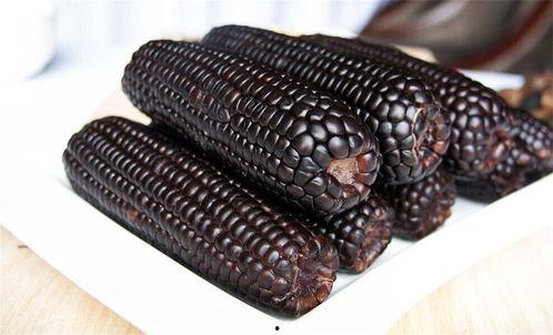 黑玉米,神秘色彩中的营养瑰宝